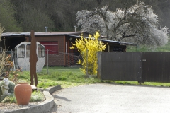 DSCN1512